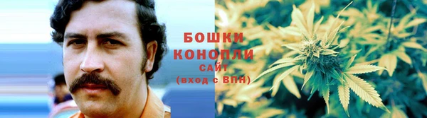 PSILOCYBIN Арсеньев