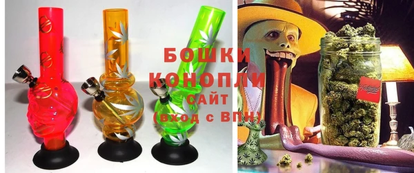 PSILOCYBIN Арсеньев