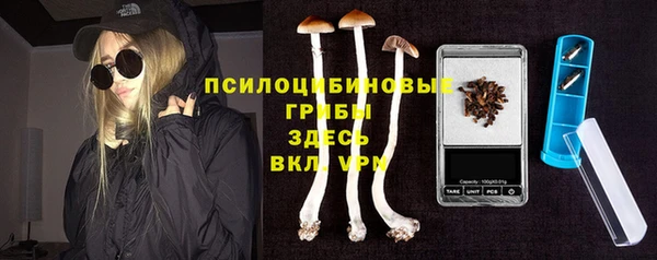 дмт Армянск